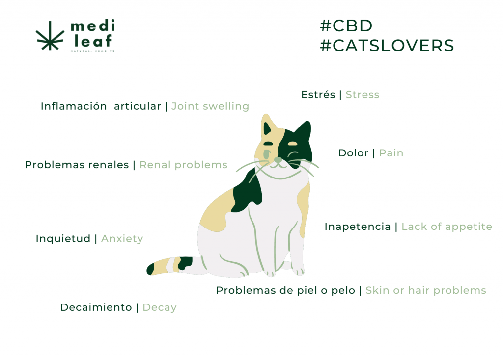 Beneficios CBD gatos