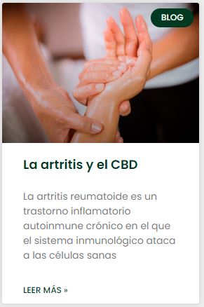 cbd y artitris dolor inflamación