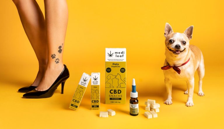 Blog CBD para mascotas MediLeaf - aceite tópico para perros y gatos