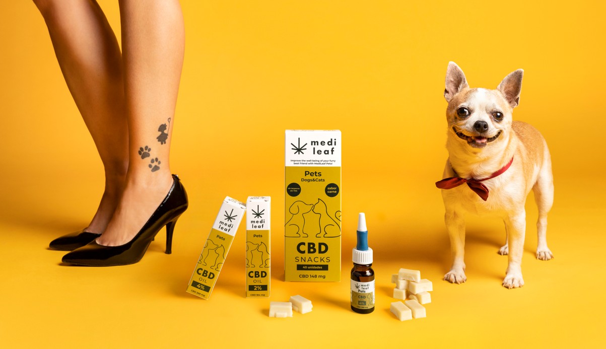 CBD para mascotas MediLeaf - aceite tópico para perros y gatos
