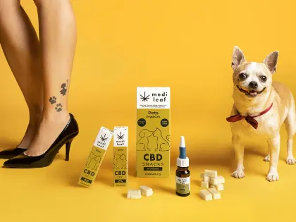 Gama de aceites MediLeaf para mascotas: cosmética de CBD tópico para el cuidado de la piel y las almohadillas del perro